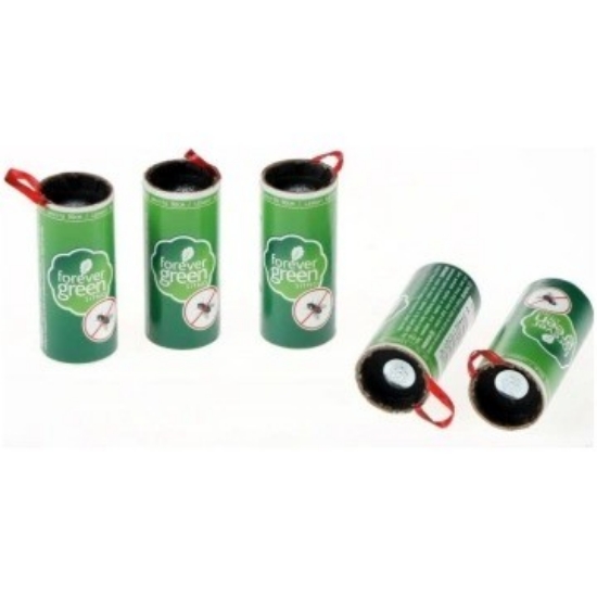 Lipnusis musgaudis paveikslėlis