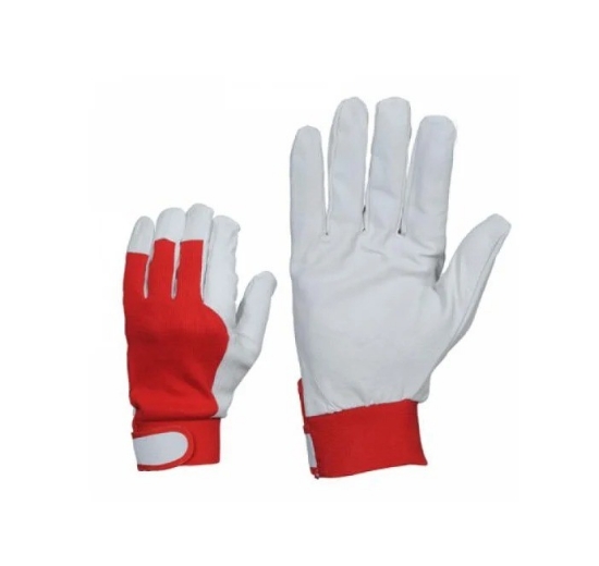 Picture of Odines pirštines FORTE TOOLS (11)